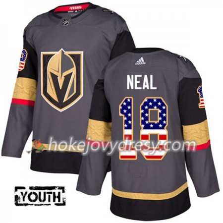 Dětské Hokejový Dres Vegas Golden Knights James Neal 18 Adidas 2017-2018 Šedá USA Flag Fashion Authentic